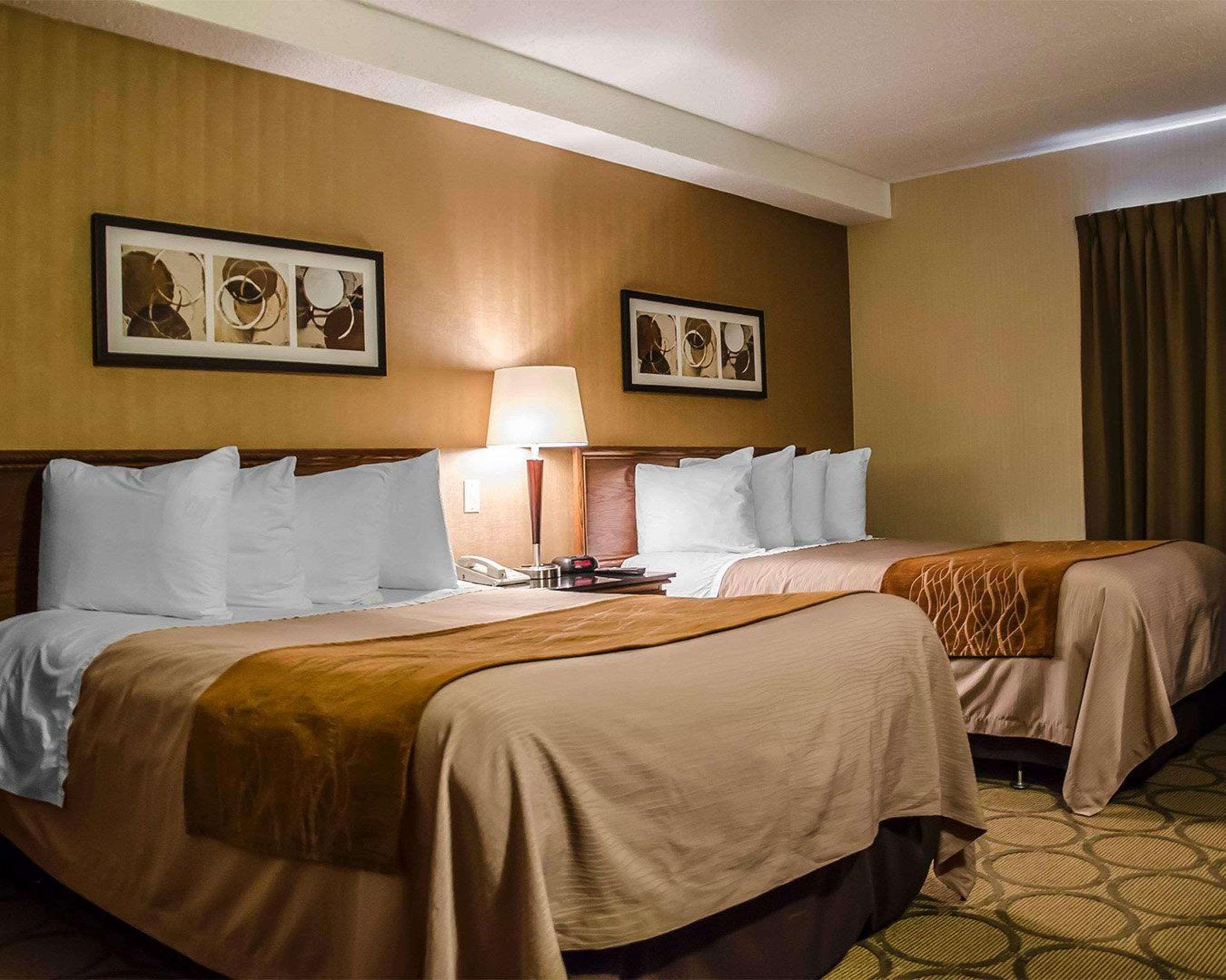 Comfort Inn South Shore Бушервиль Экстерьер фото