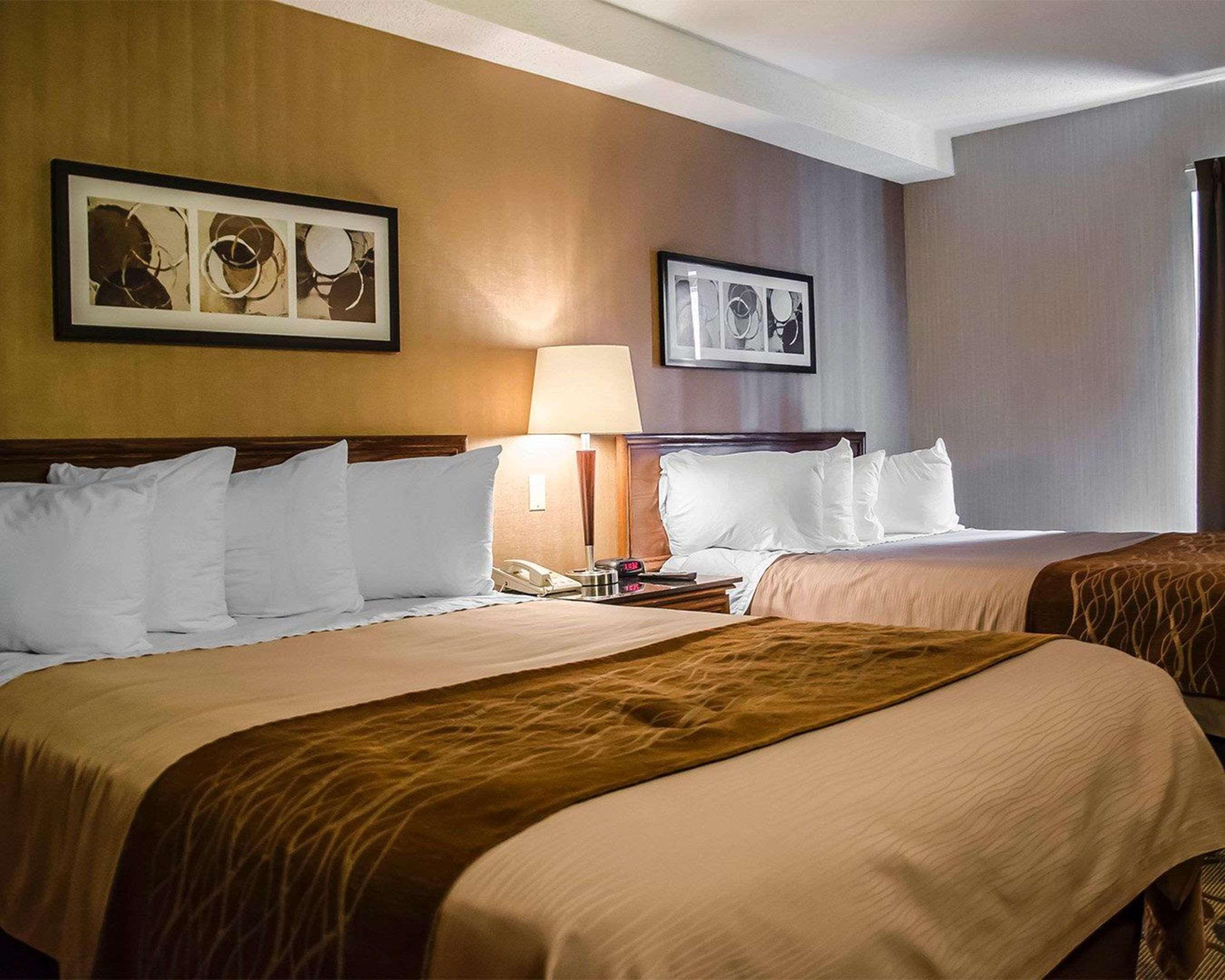 Comfort Inn South Shore Бушервиль Экстерьер фото