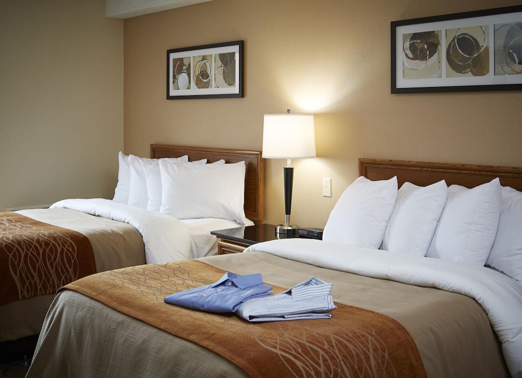 Comfort Inn South Shore Бушервиль Экстерьер фото