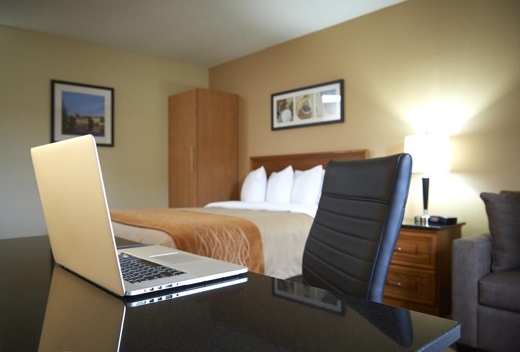 Comfort Inn South Shore Бушервиль Экстерьер фото