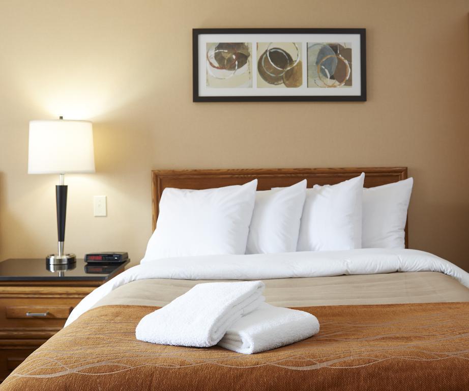 Comfort Inn South Shore Бушервиль Экстерьер фото