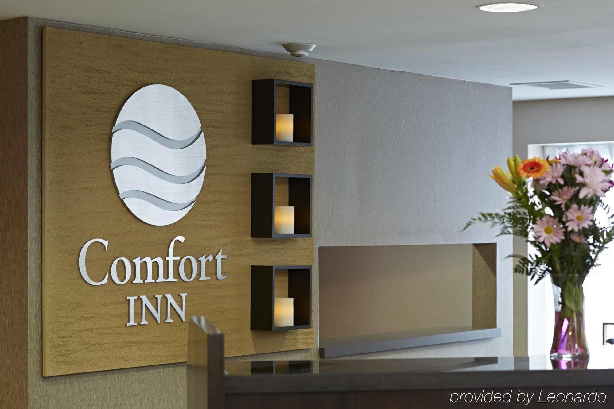 Comfort Inn South Shore Бушервиль Экстерьер фото